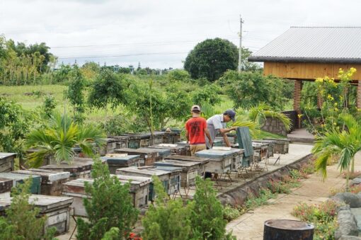 TRANG TRẠI ONG BEE- GARDEN